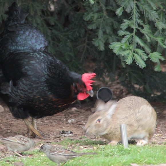 Meet your Posher, Nicola - Picture 1 of 1